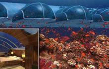 Hotel mewah bawah laut ada di Fiji 
