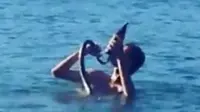 Seorang pria tampak mengajari ular peliharaan miliknya berenang di laut sambil minum bir