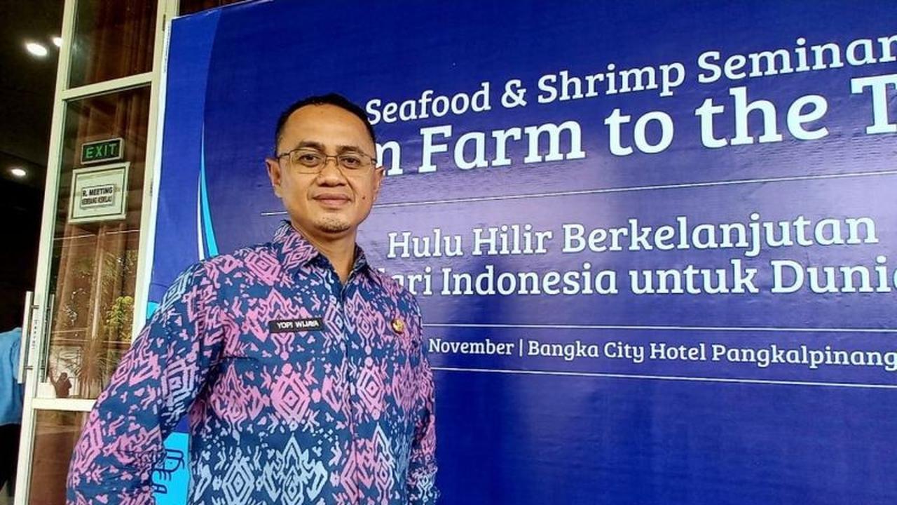 DKP Babel Gandeng Swasta Kembangkan Budidaya Udang Vaname Hulu-Hilir, Optimalkan Potensi Pesisir