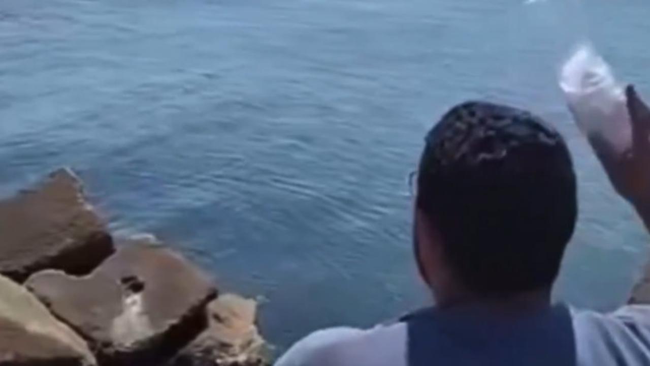 VIDEO Warga Mesir Lempar Botol Berisi Beras ke Laut, Berharap Bantuan Itu Sampai ke Gaza