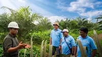 Kemitraan Sawit Buka Jalan Peremajaan Kebun