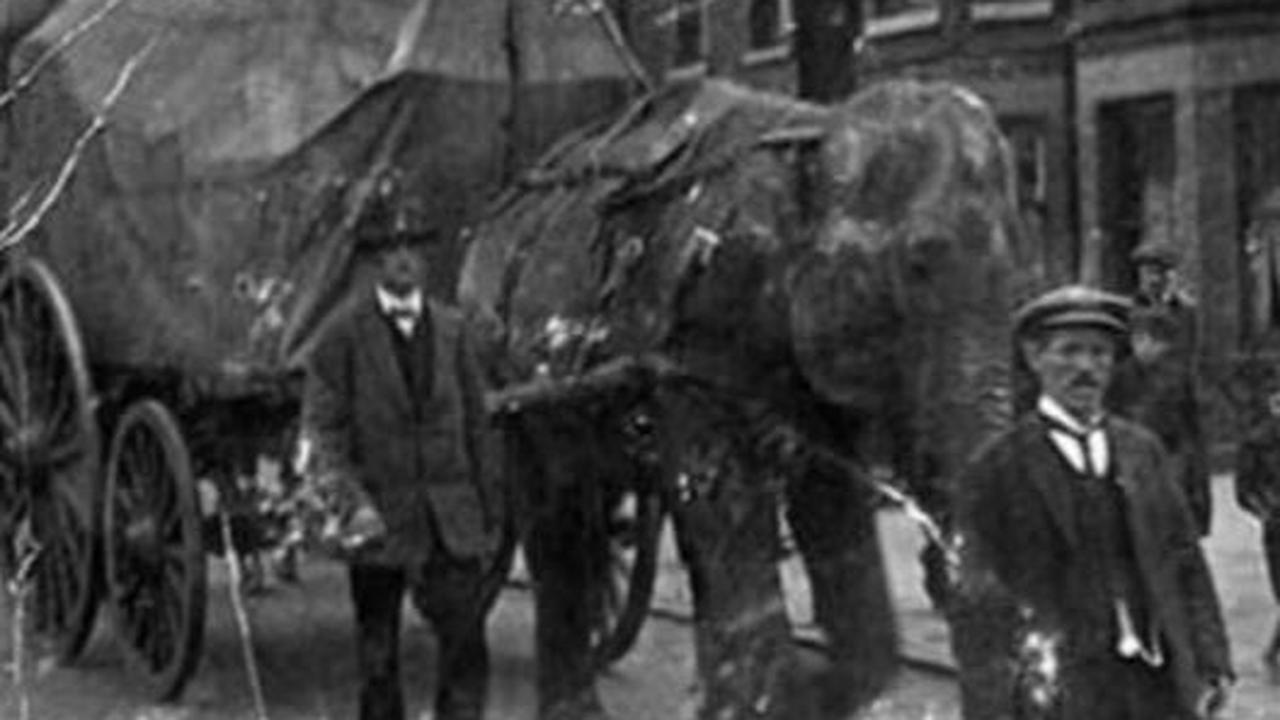 Legenda yang berkembang di daerah tersebut menyatakan gajah betina yang diberi nama Nancy itu dikubur di Kingswood pada 1891.