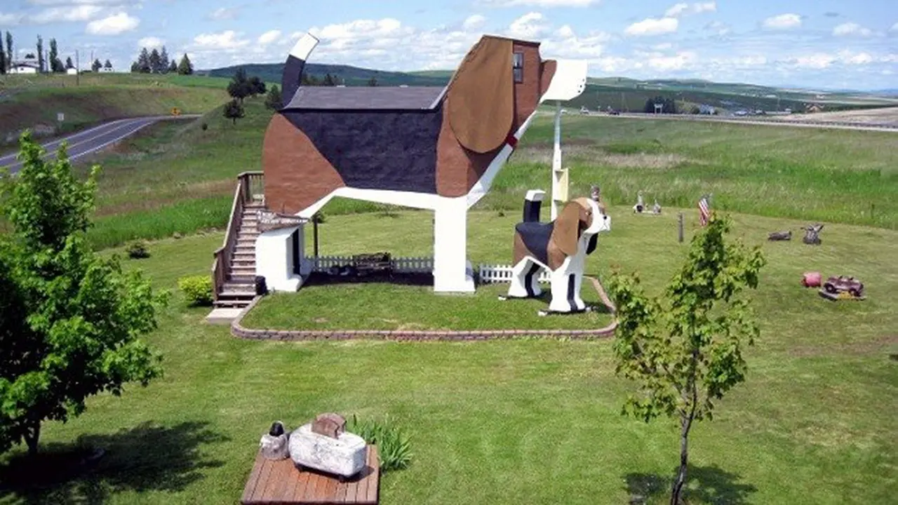 Rumah Anjing