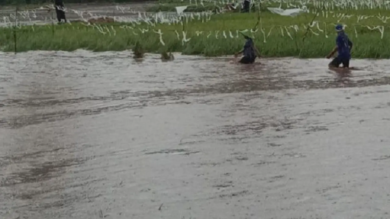 Banjir Bima