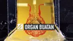 Perkembangan printer 3D berkembang pesat dengan keberhasilan baru mencetak jaringan vaskular dari sel-sel hidup. Inovasi ini dapat memproduksi organ tubuh dari sampel sel yang kecil.