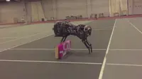 Wow, Robot Cheetah Sukses Melompati Rintangan 