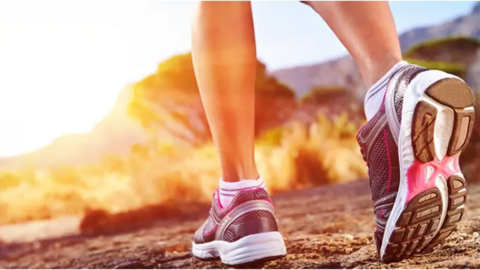 Courtesy ShutterStock.com