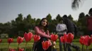 Orang-orang berfoto di samping bunga tulip di sepanjang pinggir jalan di New Delhi (7/2/2022). Bulan Februari bunga tulip mulai bermekaran menunjukkan warna aslinya di pinggir jalan di New Delhi, India. (AFP/Sajjad Hussain)