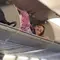 Potret penumpang tidur di atas tempat penyimpanan pesawat. (dok. @gmonique_132/Tiktok/Putri Astrian Surahman)