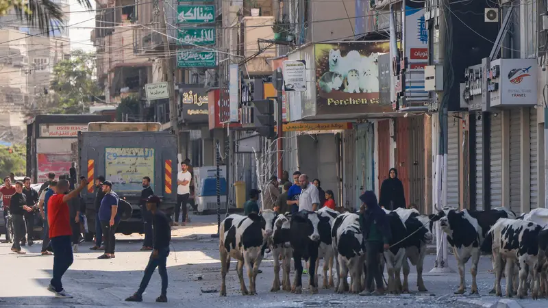 Anak-anak di Gaza Kehabisan Makanan, Perang Israel-Hamas Makin Memanas -  Health Liputan6.com