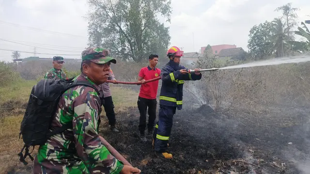Angin Kencang Bikin Api Mengganas, 2 Hektare Lahan di Lampung Selatan Ludes Terbakar