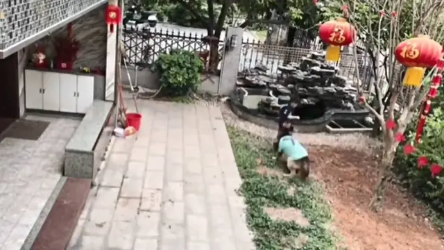 Viral Aksi Pintar Anjing Ambilkan Mainan di Kolam Ini Bikin Melongo