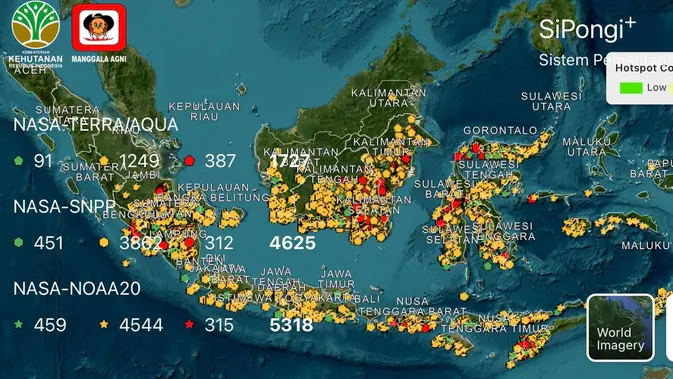 Sebaran Titik Panas Karhutla Terdeteksi di Kalteng dan Sumsel