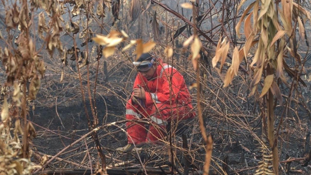 Meratapi sekolah di Riau jadi usang akibat kabut asap
