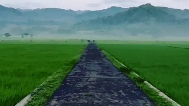 Pronosutan View