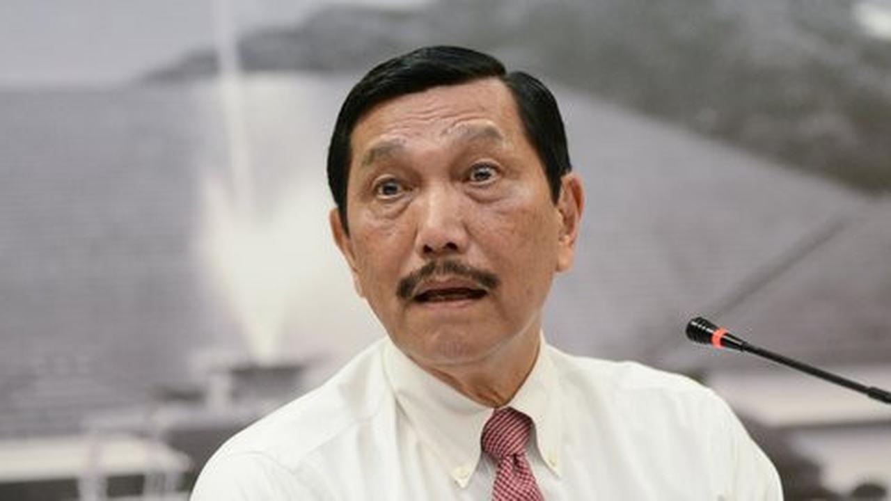 Luhut akui bertemu bos Freeport Jim Bob, tapi tak ada kesepakatan