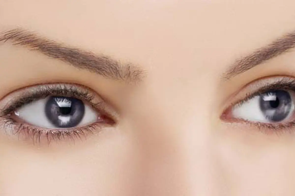 Foto: Copyright Shutterstock.com