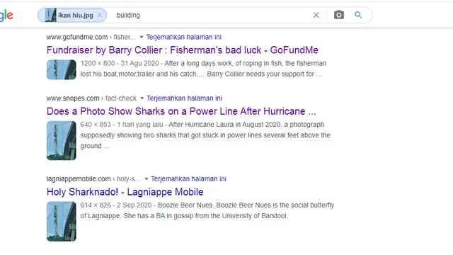 Hasil penelusuran Google Image ikan hiu.