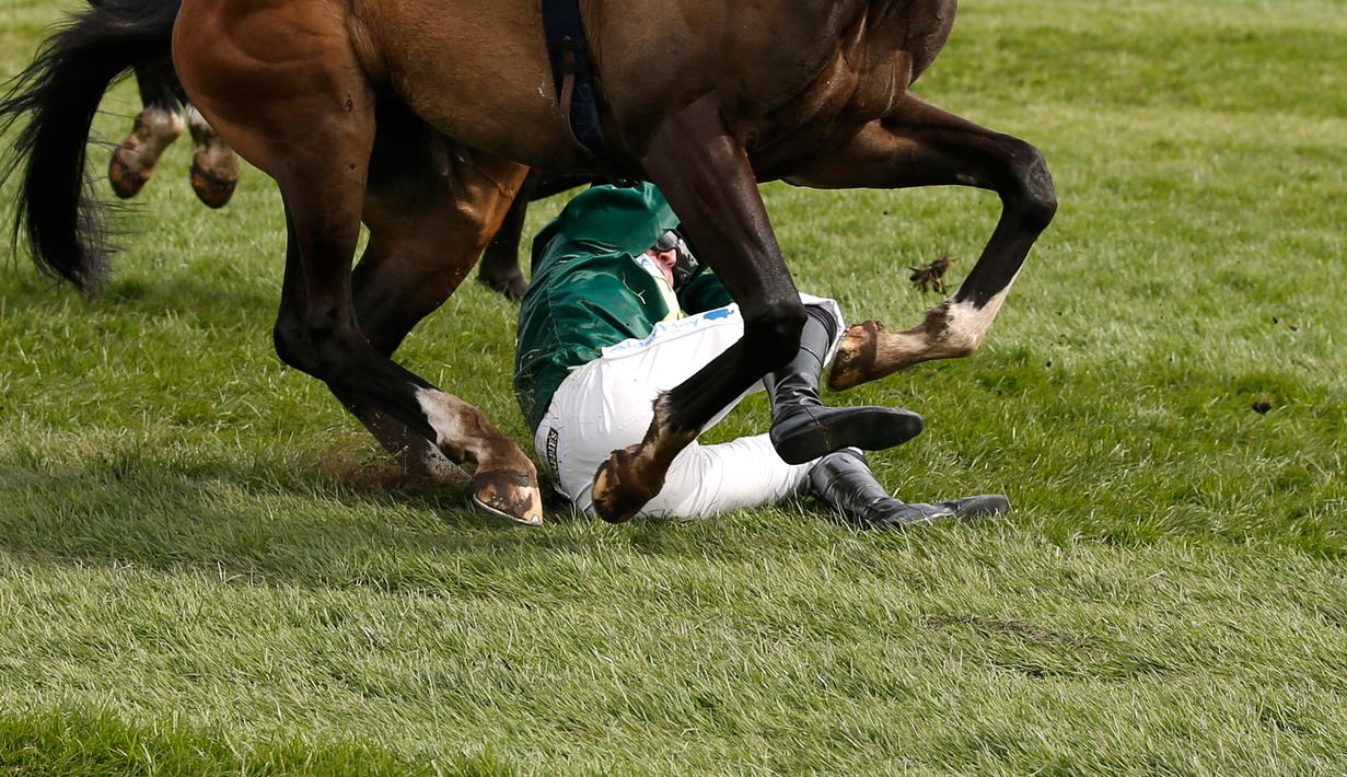 Kuda bernama Curious Carlos terjatuh saat ditunggai oleh Sean Bowen pada pacuan kuda festival nasional Crabbie Grand Liverpool, Inggris, Kamis (7/4/2016). Joki kuda ini terjatuh usai melewati pagar rintangan akhir. (Reuters / Andrew Boyers)