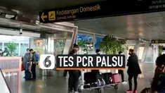 THUMBNAIL pcr