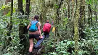 6 Fakta Menarik Gunung Patah di Bengkulu dengan Jalur Pendakian Ekstrem
