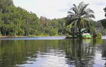 Dipenuhi Pepohohan Syahdu, Situ Gede Cocok Jadi Wisata Introvert di Kota Bogor