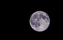 Arti I Love You Moon and Back dalam Bahasa Indonesia, Ketahui Contoh Ucapannya