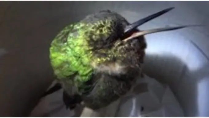 (c) huffingtonpost.com