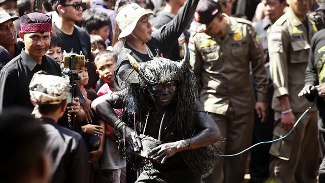 Tradisi Kebo-keboan Alasmalang Banyuwangi Tetap Lestari, jadi Wujud Syukur hingga Daya Tarik Wisata