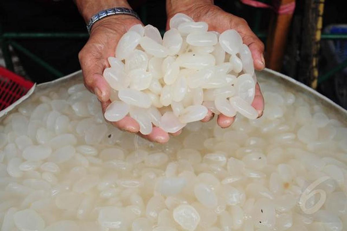 Resep Manisan Kolang Kaling Low Sugar, Tekstur Empuk dan Kenyal