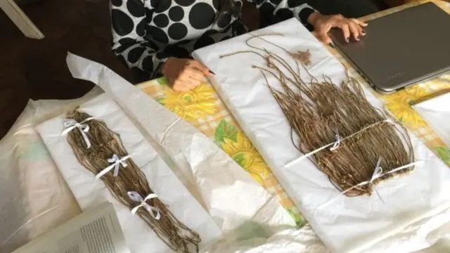 Misteri 'Tali Gimbal' Suku Inca Terkuak