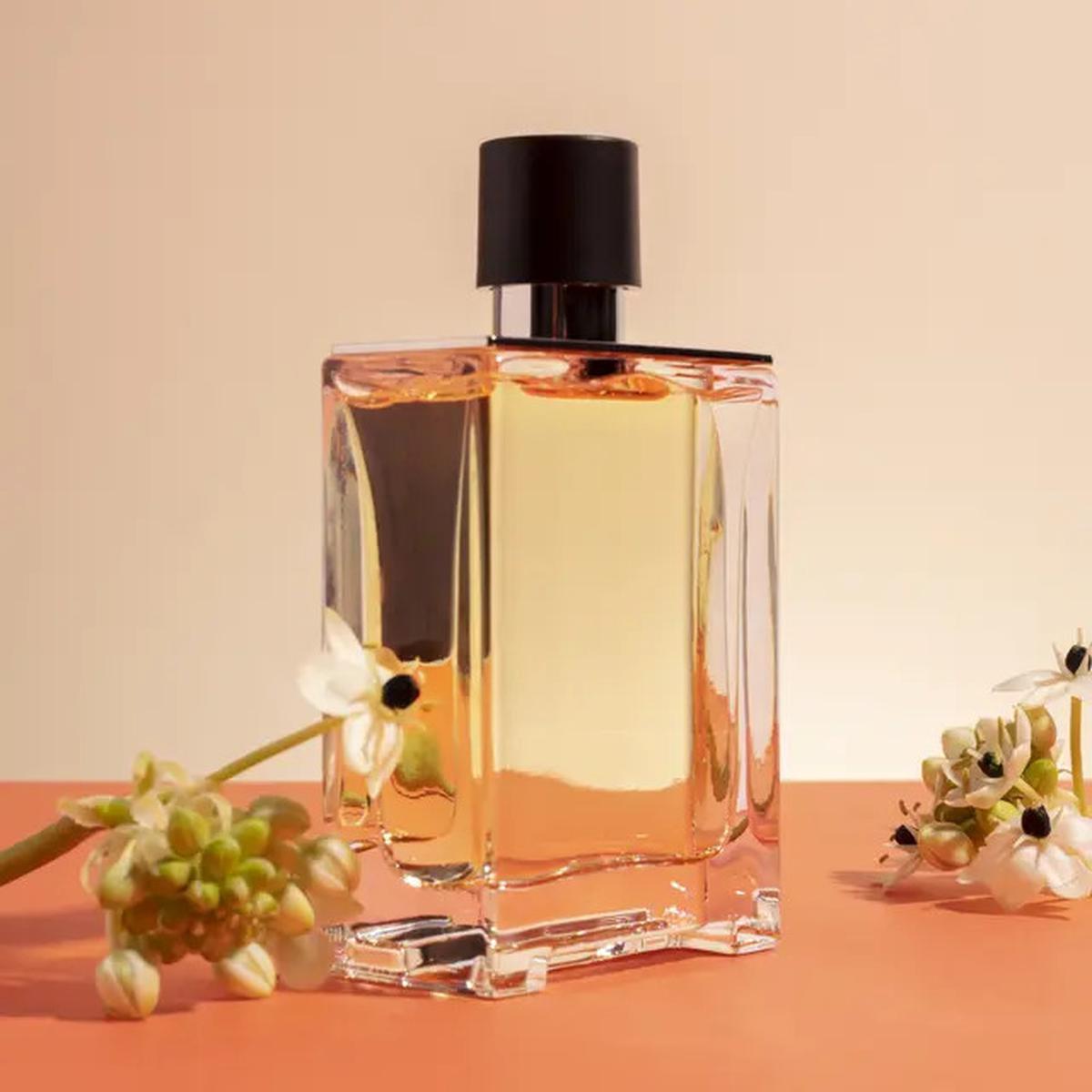 Mix Parfum Refill yang Enak untuk Pria