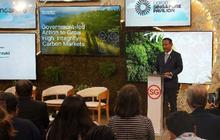 Indonesia Perkuat Komitmen Kolaborasi Global dalam Pengembangan Pasar Karbon Global Berintegritas