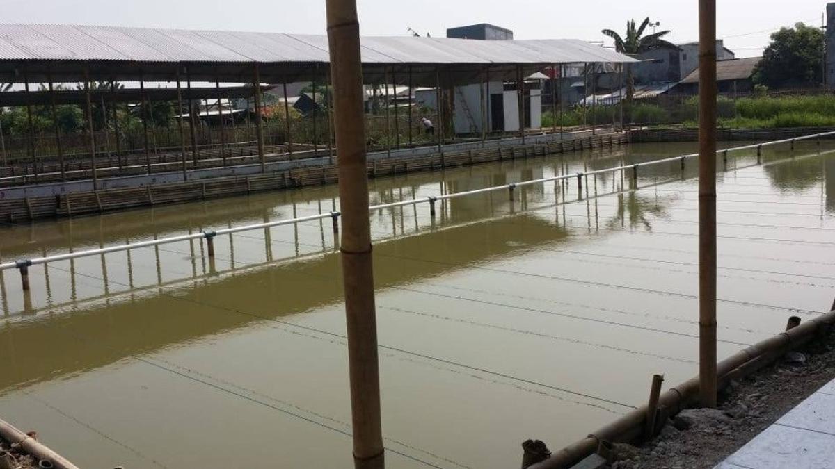 7 Rekomendasi Spot Mancing Nyaman 2025 di Jakarta Utara, Cocok untuk Habiskan Waktu Liburan