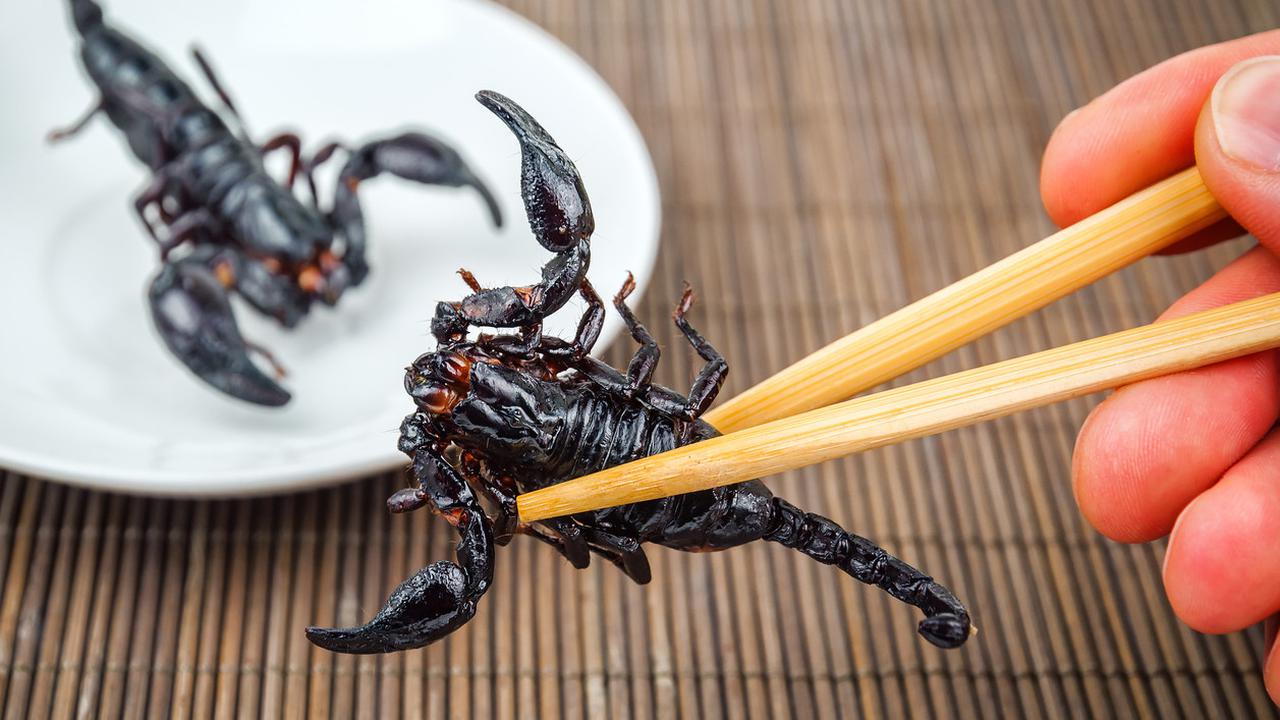 Kalajengking (iStock)