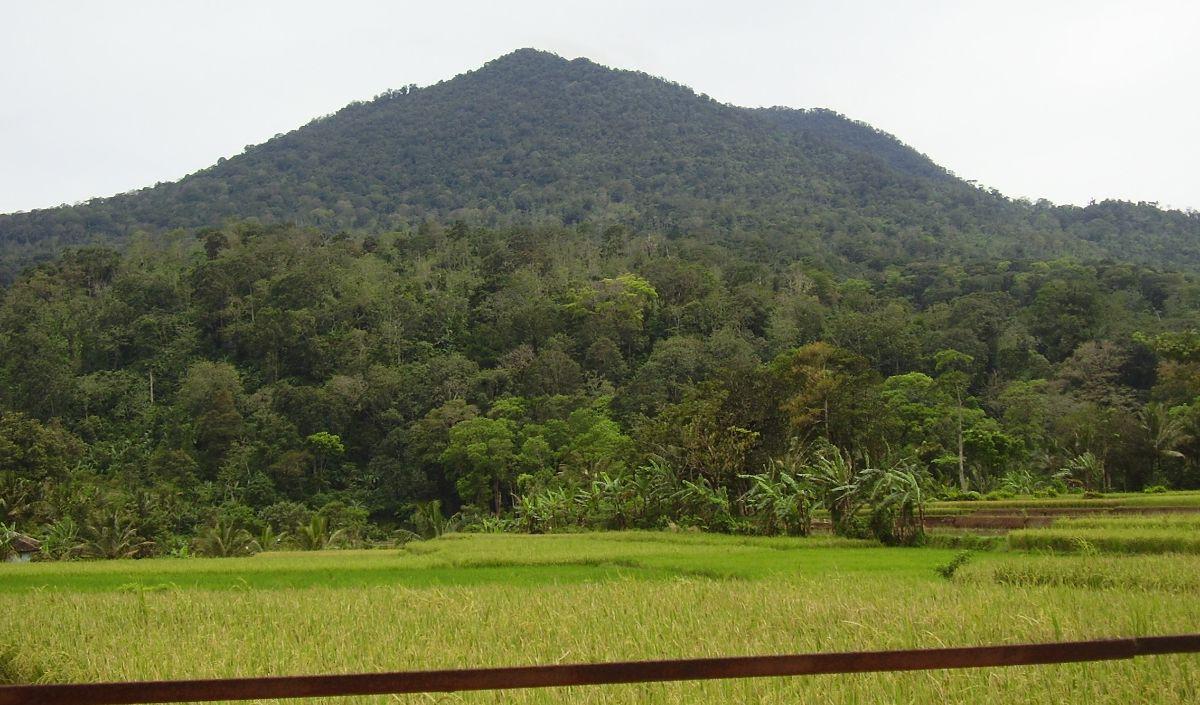 Jadi Tempat Ditemukannya Sejumlah Arca