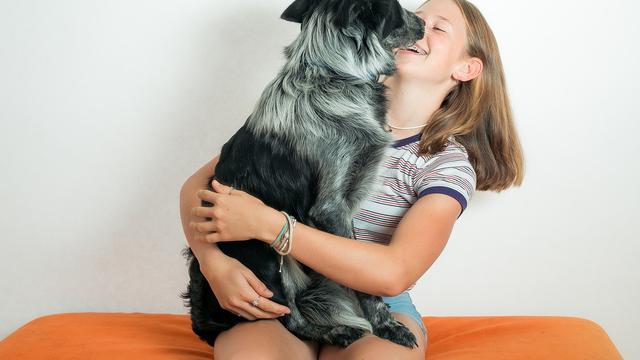 Ilustrasi interaksi anjing dengan pemiliknya