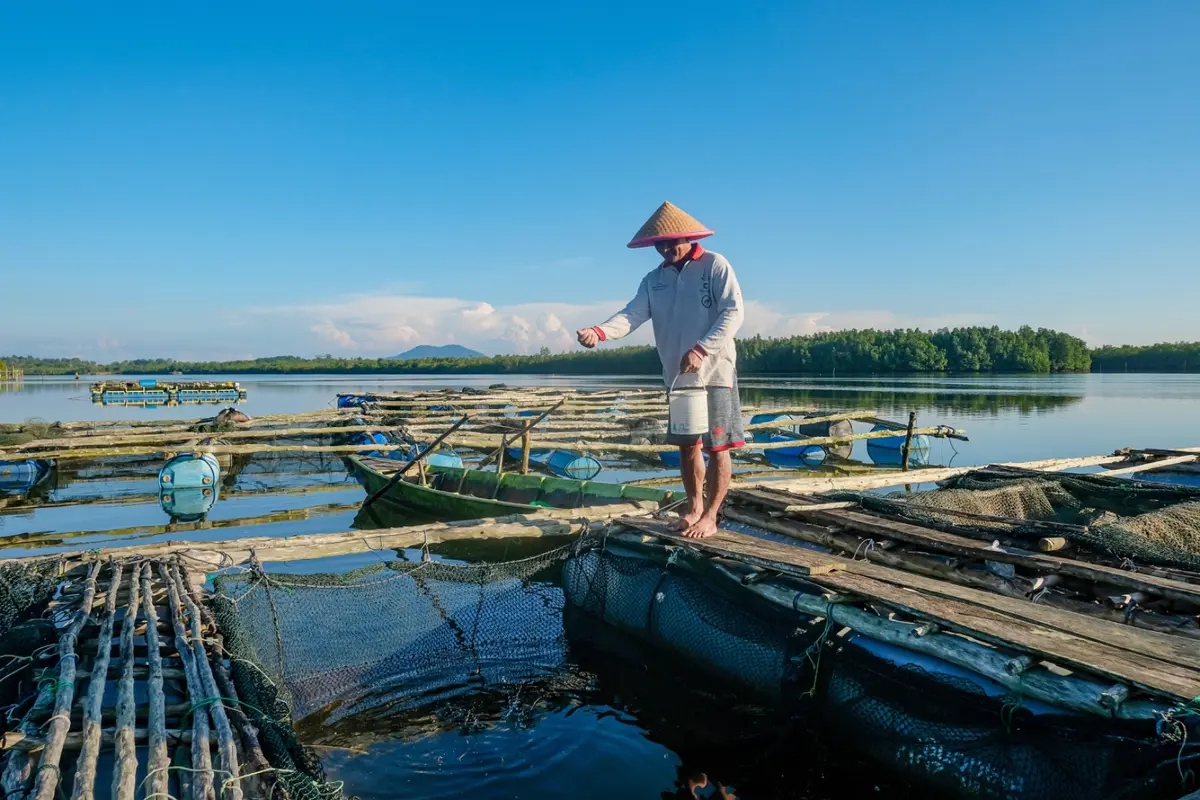 BRI Salurkan KUR Rp69,8 Triliun ke 8,3 Juta UMKM untuk Dongkrak Sektor Produksi