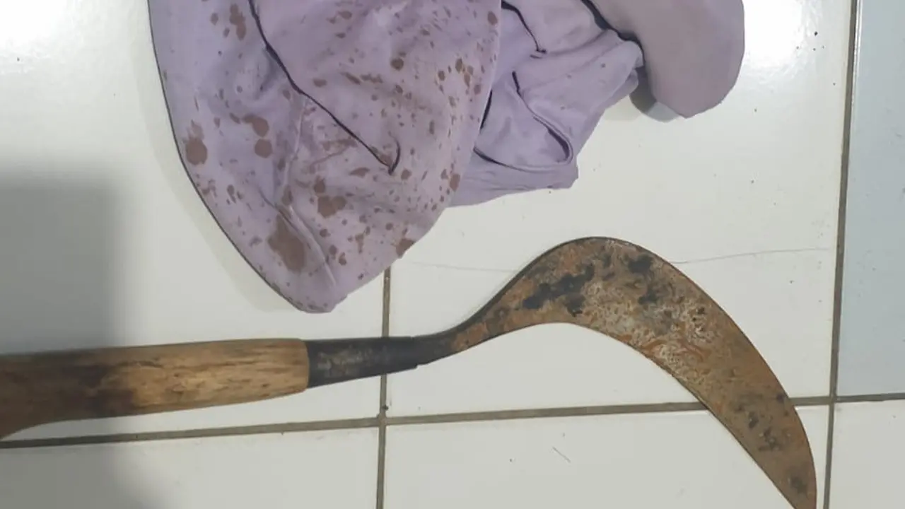 Barang bukti clurit milik Haniman yang digunakan untuk membacok tetangganya karena cemburu. (Istimewa)