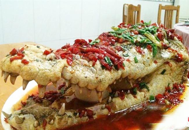 Kepala buaya utuh disajikan sebagai menu makan pesta pernikahan di China | foto: copyright china.org.cn