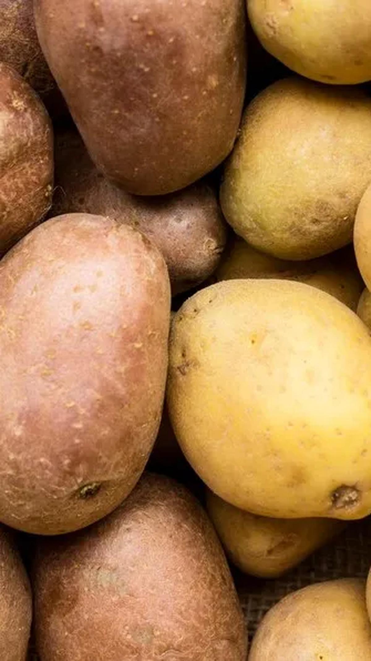 Jadi, nikmati variasi ini dengan bijak untuk diet sehat Anda!