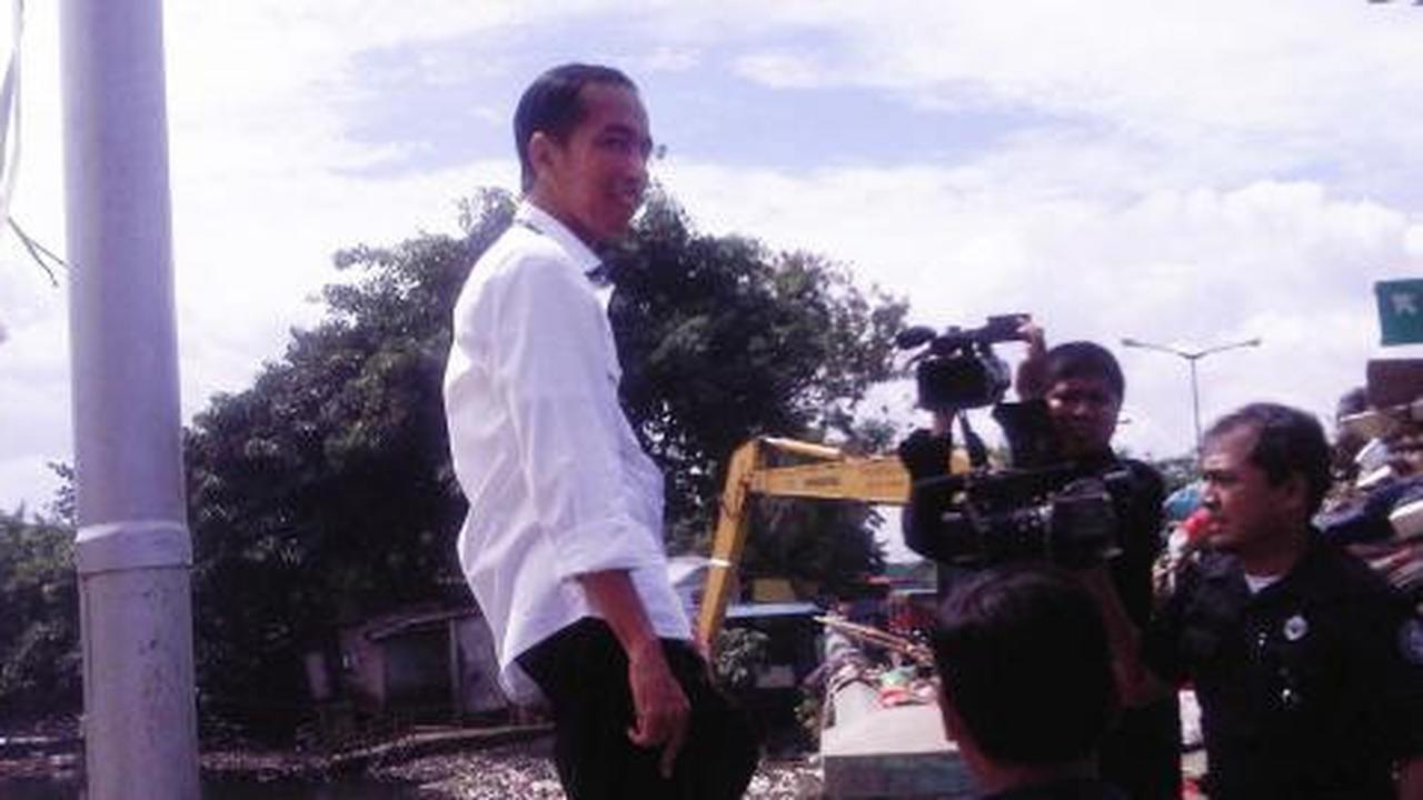 Survei: Jokowi capres paling potensial 2014 