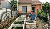 Cara Membuat Kolam Ikan Lele dari Box Styrofoam Bekas di Pekarangan Rumah Subsidi