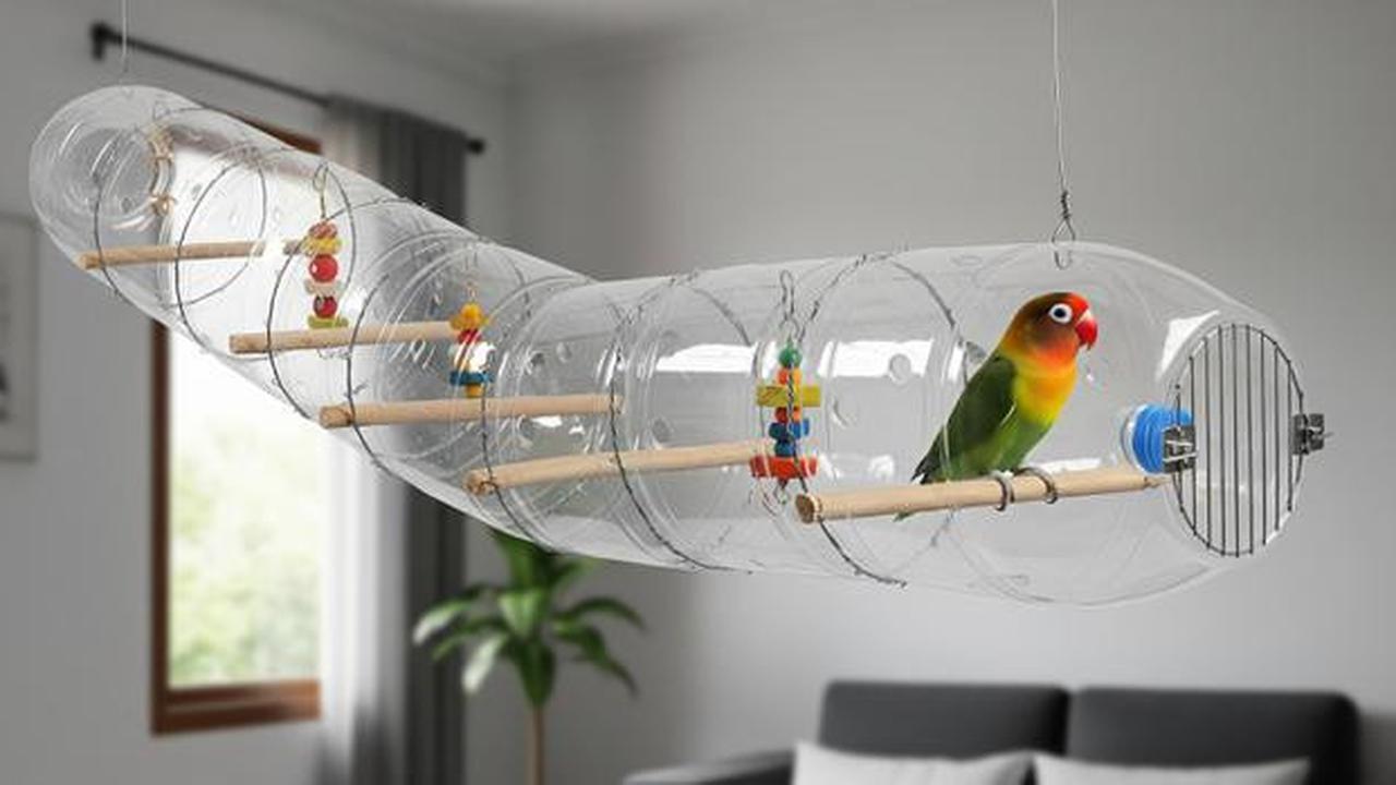 8 Desain Kandang Lovebird dari Botol Bekas, Kreatif dan Hemat Biaya