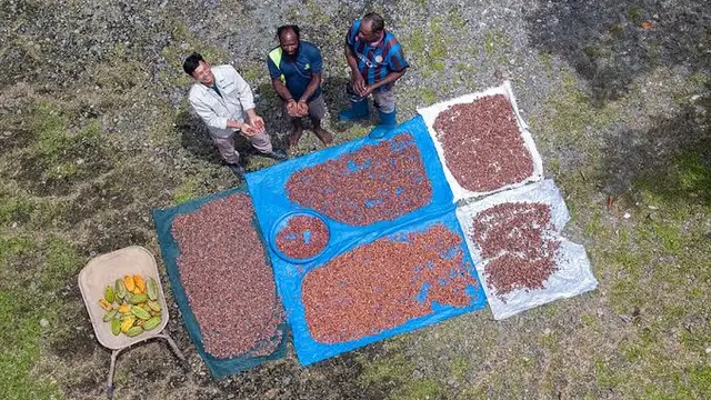 Anggota Grup MIND ID, PT Indonesia Asahan Aluminium (Inalum) mendukung komunitas binaan melalui Program Desa Binaan Batu Bara Bersama Lubuk Cuik (Babe Lucu) di Kecamatan Lima Puluh Pesisir, Kabupaten Batu Bara, Sumatra Utara. (Dok Inalum)