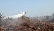 Bandara di Wilayah Kebakaran Hutan Disiagakan, Dukung Water Bombing