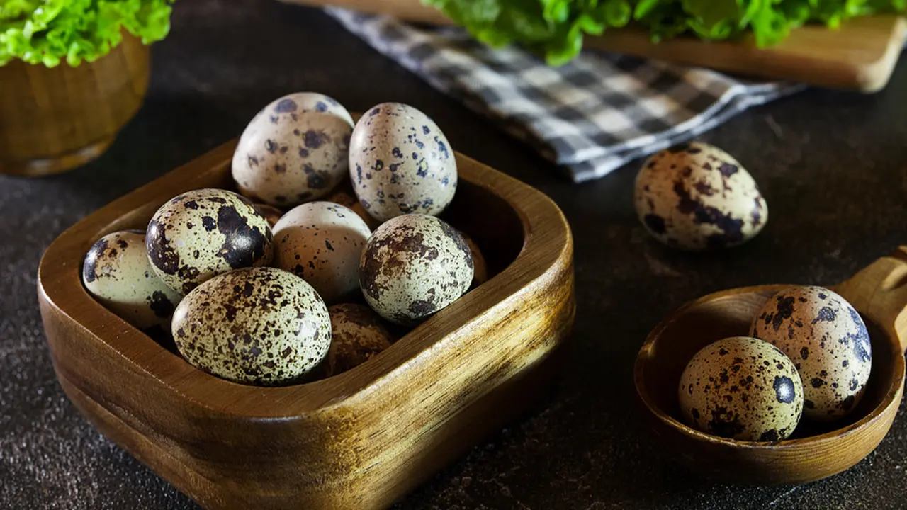 telur puyuh-kezo