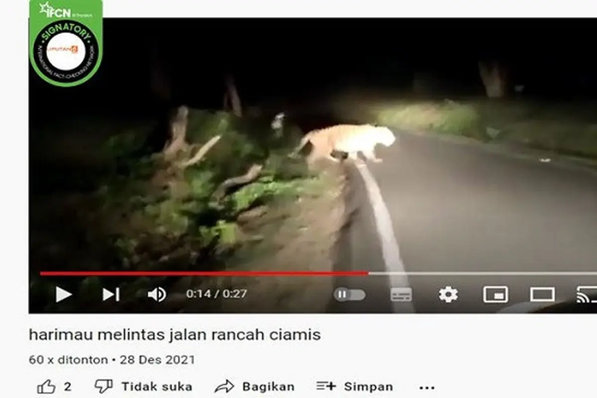 Gambar Tangkapan Layar Video yang Diklaim Harimau Melintas di Jalan Rancah Ciamis (sumber: YouTube).
