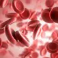 Ilustrasi sel darah merah (iStock)