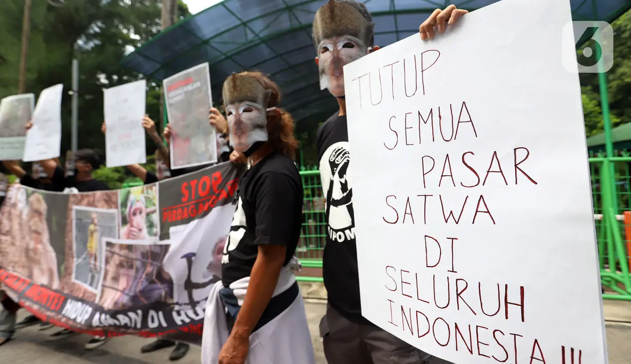 Massa aksi yang tergabung dalam Koalisi Monyet Ekor Panjang (Gabungan Animal Friends Jogja dan Aksi Peduli Monyet) menggelar unjuk rasa di depan Kementerian Lingkungan Hidup dan Kehutanan, Jakarta Pusat, Senin (23/5/2022). Aksi ini wujud kekhawatiran akan tren memelihara satwa monyet yang makin merebak akhir-akhir ini. (Liputan6.com/Johan Tallo)